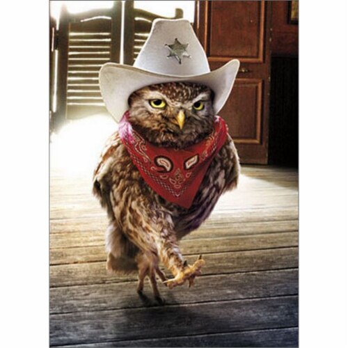 Avanti Press Greeting Cards Birthday Cowboy Owl Perspective: front