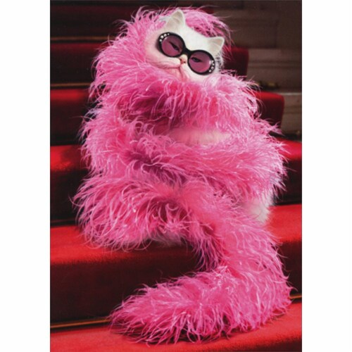 Avanti Press Greeting Cards Birthday Cat with Feather Boa Perspective: front