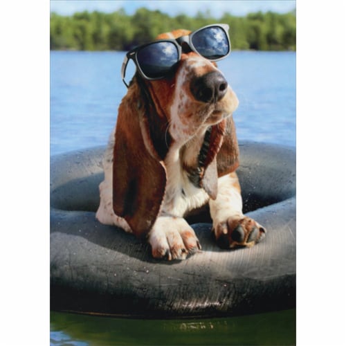 Avanti Press Greeting Cards Birthday Basset Hound (DEAN) Wearing Sunglasses Perspective: front