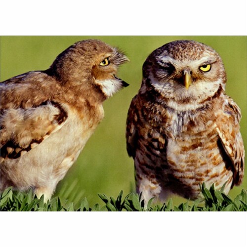 Avanti Press Greeting Cards Anniversary- Owl Couple Communication Perspective: front