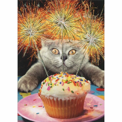 Avanti Press Greeting Card Birthday Cat With Sparkler Cake Perspective: front