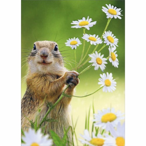 Avanti Groundhog Holding Daisies Cute Thank You Card Perspective: front