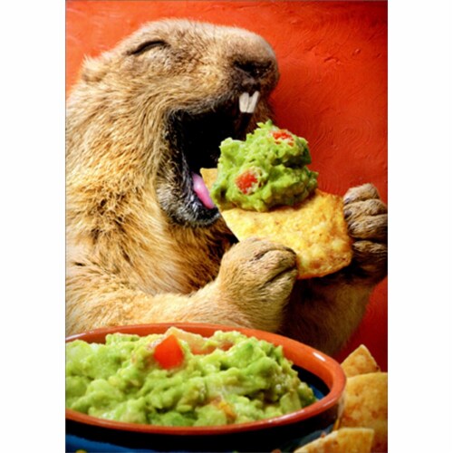 Avanti Press Greeting Card Birthday Ground Hog Chip Dip Perspective: front