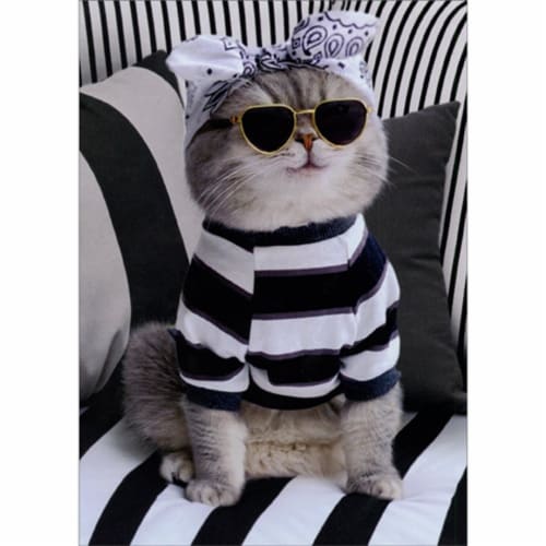 Avanti Press Greeting Card Birthday Bandana Cat Perspective: front