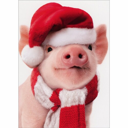 Avanti Press Greeting Cards Christmas Santa Piglet Perspective: front