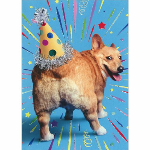 Avanti Press Greeting Cards Birthday- CORGI BUTT BIRTHDAY HAT Perspective: front