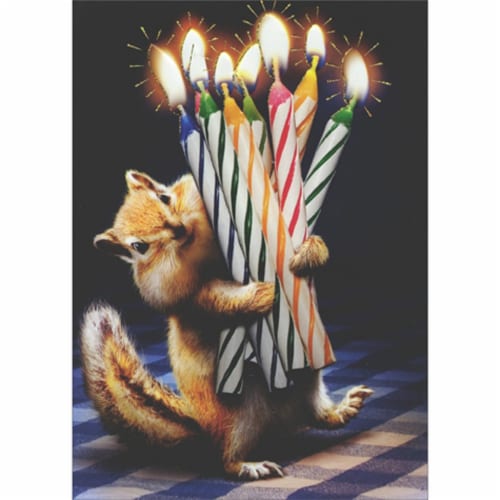 Avanti Press Greeting Cards Birthday- CHIPMUNK BIRTHDAY CANDLES Perspective: front