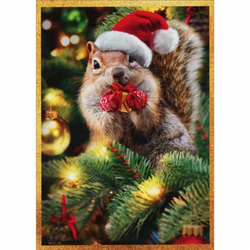 Avanti Press Greeting Cards Christmas Santa Squirrel Gives Gift Perspective: front