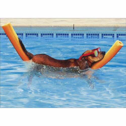 Avanti Press Greeting Cards Retirement- DOG ON POOL NOODLE Perspective: front