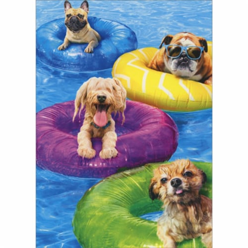 Avanti Press Greeting Cards Birthday- DOG POOL PARTY Perspective: front