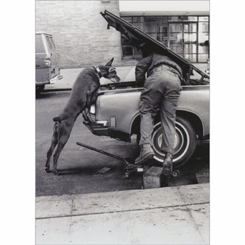 Avanti Press Greeting Cards Birthday- MAN AND DOG ENGINE TUNE UP Perspective: front