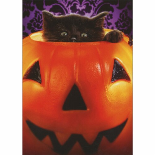 Avanti Press Greeting Cards Halloween Kitten in Pumpkin Bucket Perspective: front