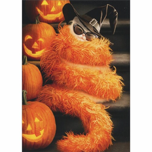 Avanti Press Greeting Cards Halloween Black Cat in Orange Boa Perspective: front