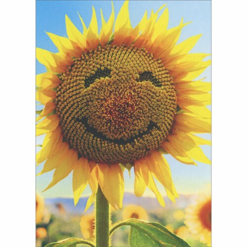 Avanti Press Greeting Card Blank - Sunflower Face Perspective: front