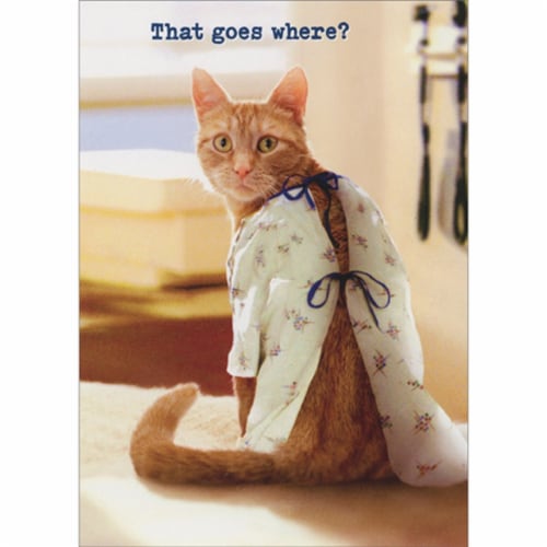 Avanti Press Greeting Card Get Well Cat Hospital Gown Perspective: front