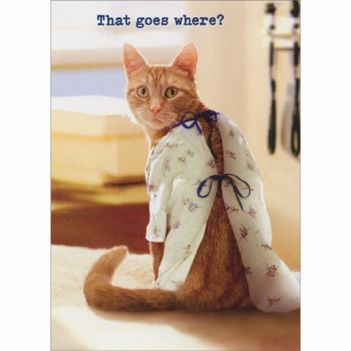 Avanti Press Greeting Card Get Well Cat Hospital Gown Perspective: front