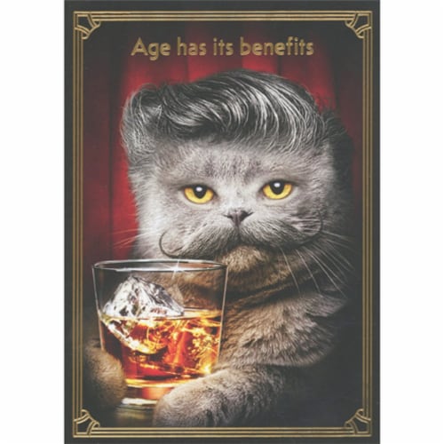 Avanti Gray Cat with Mustache and Curling Hairdo Holding Drink Funny Birthday Card for Man Perspective: front