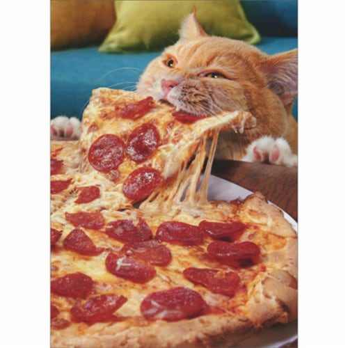 Avanti Press Greeting Card Cat Eating Whole Pizza Perspective: front
