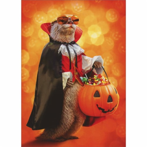 Avanti Press Greeting Cards Halloween Vampire Otter Perspective: front