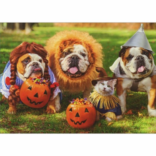 Avanti Press Greeting Cards Halloween Bulldogs in Costumes Perspective: front