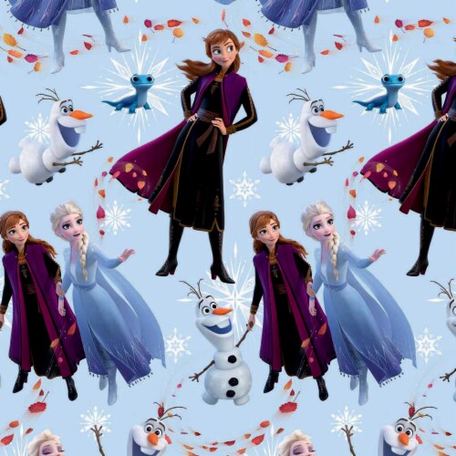 Plus Mark Disney Frozen Gift Wrap, 40 in - Ralphs