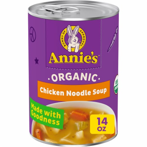 Annie's Organic Chicken Noodle Soup Perspective: front