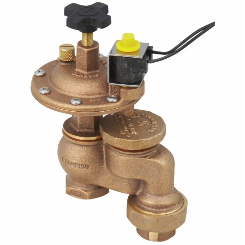 Champion Anti-Siphon Valve 3/4 in. 150 psi Champion Anti-Siphon Valve 3/4 in. 150 psi