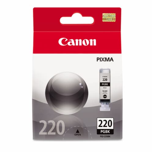 Canon Ink - Black Perspective: front