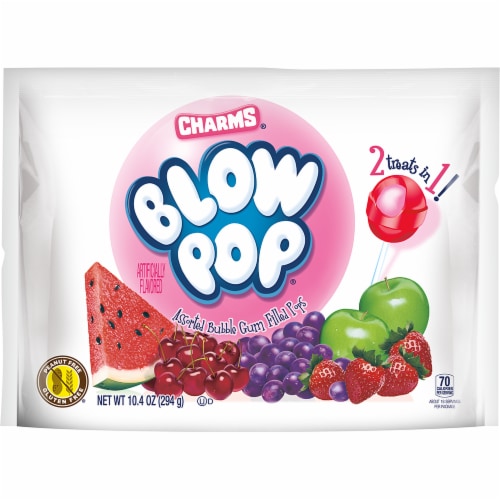 Charms® Blow Pop® Assorted Bubble Gum Filled Pops