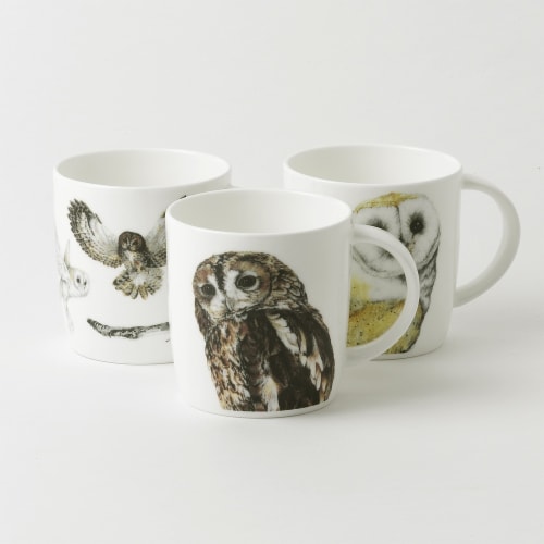 Roy Kirkham ER21123 85 mm Owls Sophie Mugs, Multi Color - Set of 6 Perspective: front