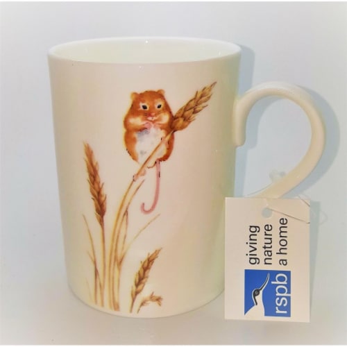 Roy Kirkham ER2184-M Hedge Mouse Lucy Mugs, Multi Color - Set of 6 Perspective: front