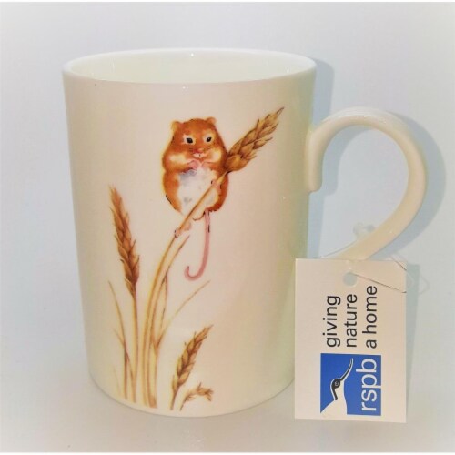 Roy Kirkham ER2184-M Hedge Mouse Lucy Mugs, Multi Color - Set of 6 Perspective: front