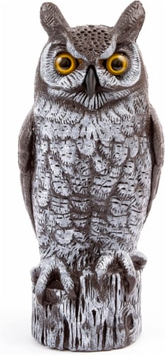 Dalen Products Incorporated Molded Owl Perspective: front