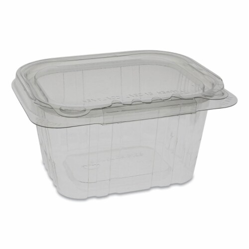 ACT Regular Deli Container with Hinged Lid Perspective: front