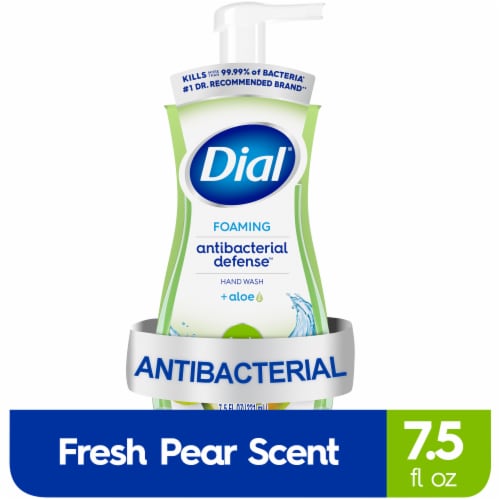 Dial Complete® Fresh Pear Foaming Hand Wash Perspective: front