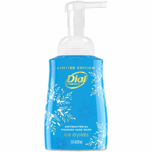 Dial Complete® Hand Wash Ice Crystals Foaming Perspective: front