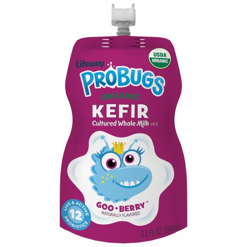 Lifeway® ProBugs® Goo Berry™ Organic Kefir Pouch Perspective: front