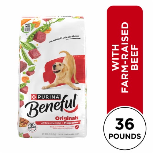 Beneful dog food big bag top