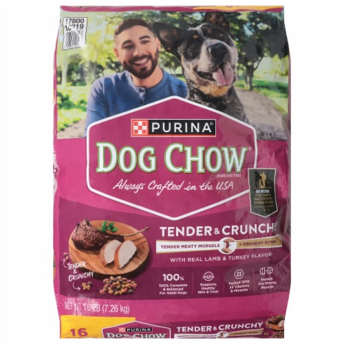 Purina® Dog Chow® Tender & Crunchy Lamb & Turkey Dry Dog Food Perspective: front