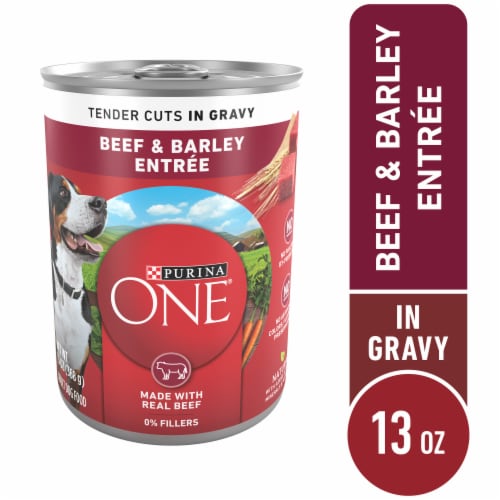 Purina ONE® Natural SmartBlend Tender Cuts in Gravy Beef & Barley High Protein Wet Dog Food Perspective: front