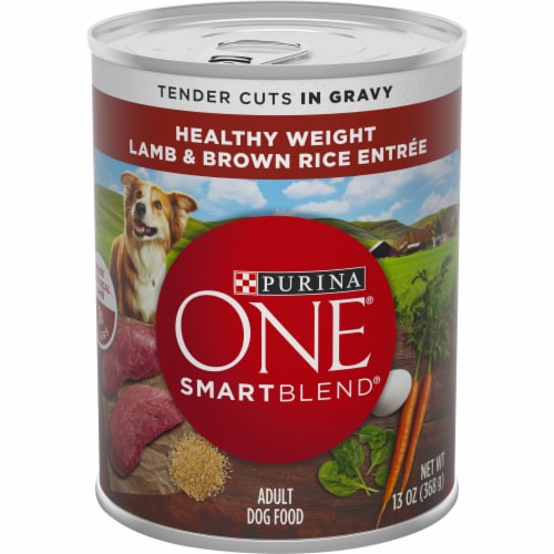 Is purina one smartblend good dog food deals