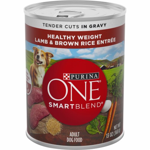 Purina One® Smart Blend Lamb & Brown Rice Adult Wet Dog Food Perspective: front
