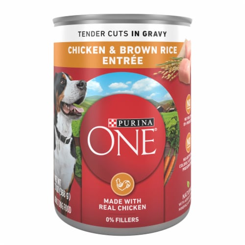 Purina ONE SmartBlend Tender Cuts Chicken & Brown Rice Entree in Gravy Adult Wet Dog Food Perspective: front