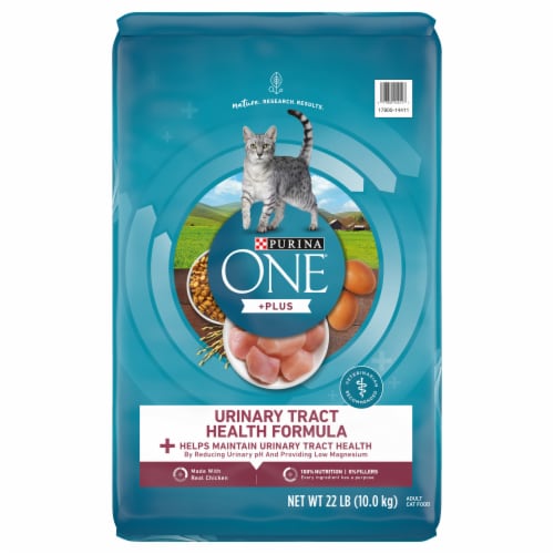 Purina ONE® Urinary Tract Health Formula Adult Dry Cat Food Perspective: front