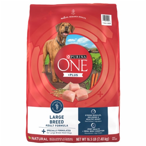 Purina ONE® +Plus Natural Large Breed Dry Adult Dog Food Perspective: front