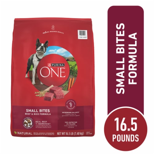 Purina ONE Small Bites Adult Dry Dog Food Beef & Rice Perspective: front