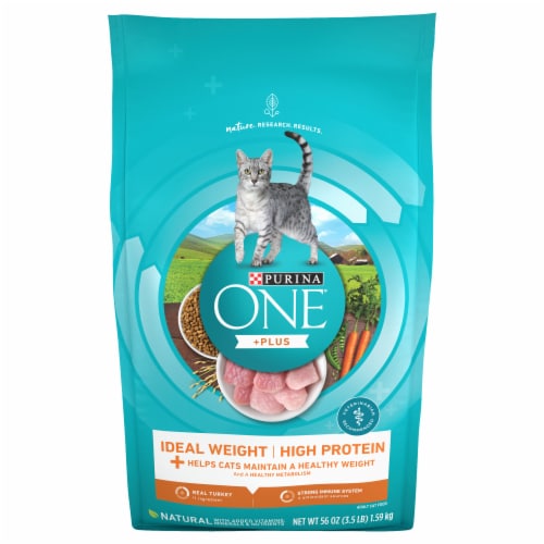 Purina ONE Healthy Metabolism Natural Adult Dry Cat Food Perspective: front