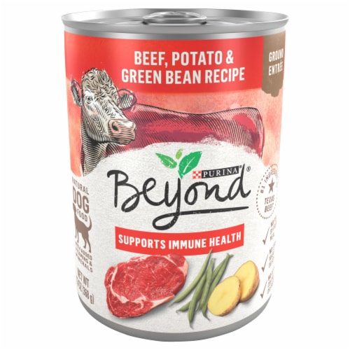 Beyond Grain Free Beef Potato and Green Bean Recipe Wet Dog Food Perspective: front