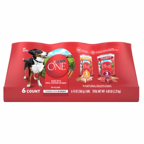 Purina ONE SmartBlend Tender Cuts in Gravy Wet Dog Food Variety Pack Perspective: front