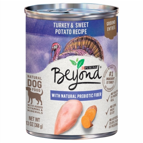 Purina® Beyond® Grain Free Turkey & Sweet Potato Recipe Perspective: front